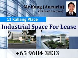 Kallang Place (D12), Factory #453216151